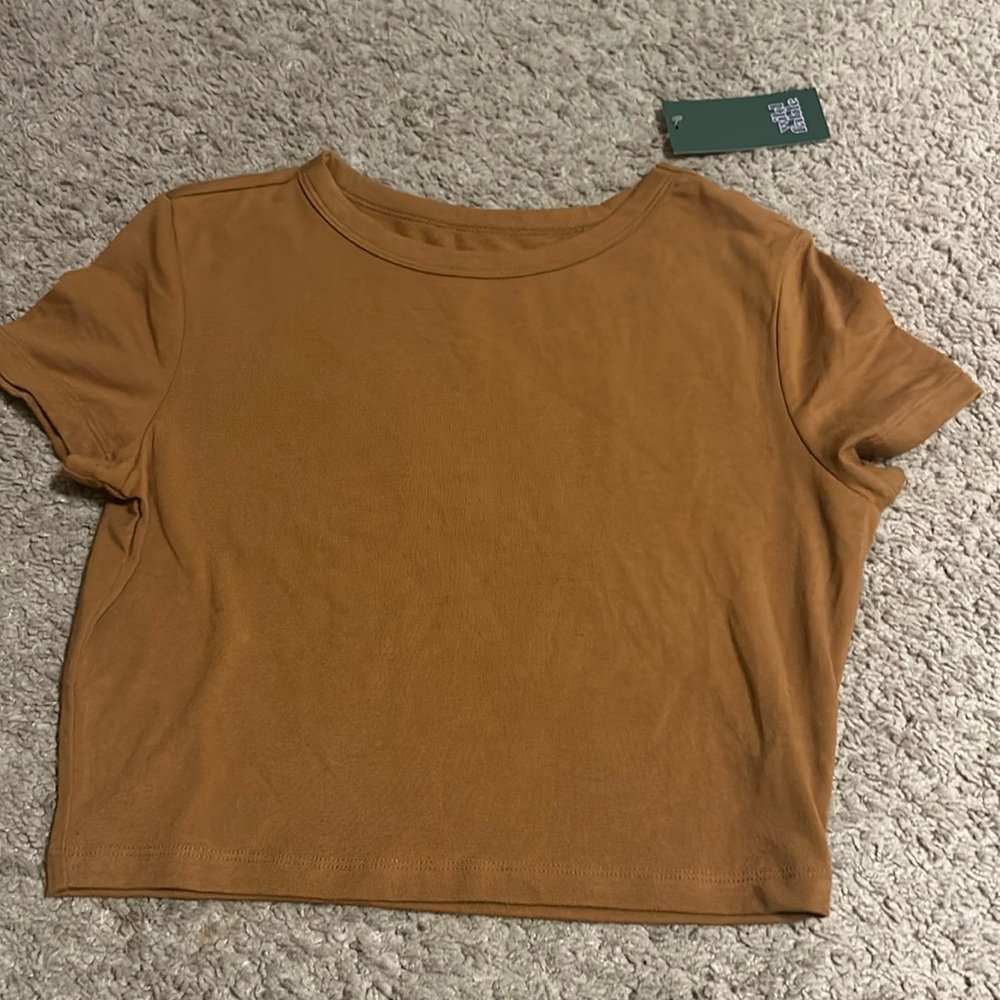 Brown crop-ish top from wild fable